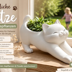 Divertente vaso per fiori a forma di gatto – Vaso allungabile per gatti – Grazioso vaso per piante grasse – Regalo per gli amanti dei gatti KL2