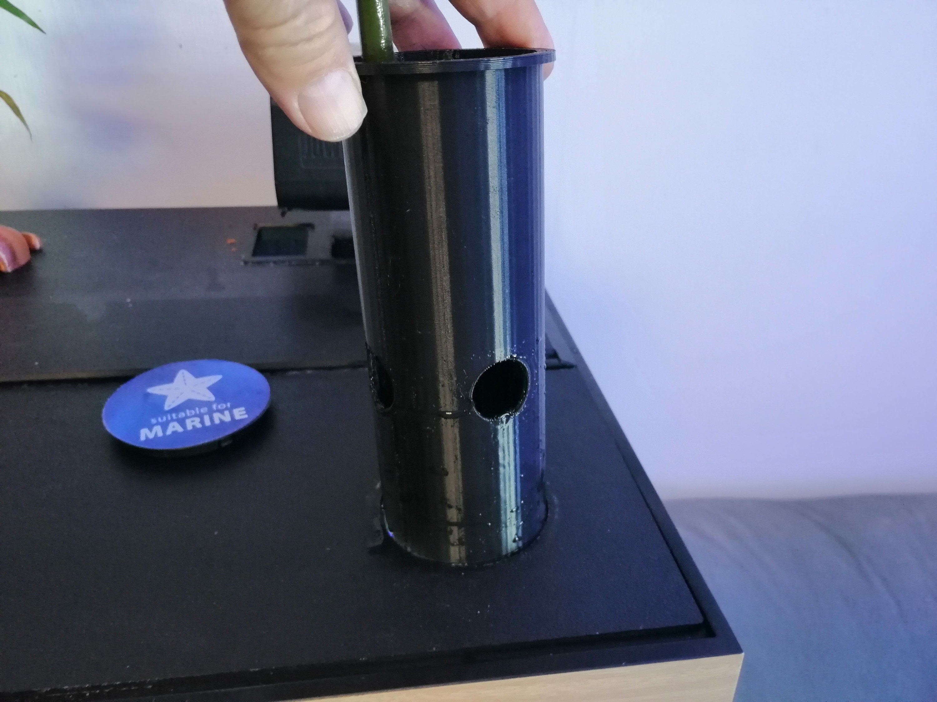 7 Semi Di Mangrovia Rossa Per Acquario - Piante Naturali Per Pesci, 7-11 Pollici - Foto 3