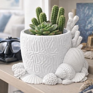 Peut inclure: Un pot en céramique blanc avec un motif texturé, rempli de succulentes et de cactus verts. Du corail blanc décoratif et des coquillages entourent le pot, créant un thème côtier. Un masque de plongée et une cloche sont en arrière-plan.