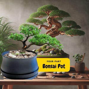 Peut inclure: Un bonsaï dans un pot bleu avec une étiquette "pot à bonsaï en quatre parties". Le bonsaï est dans un plateau en bois avec des pierres et de la mousse. L'arrière-plan est un mur brun.