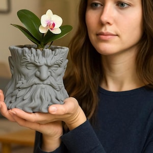 Peut inclure: Un pot gris sculpté en forme de visage barbu, contenant une petite orchidée aux fleurs blanches et roses. Le pot est fait d'un matériau texturé et est conçu pour contenir une petite plante. L'orchidée a des feuilles vertes.