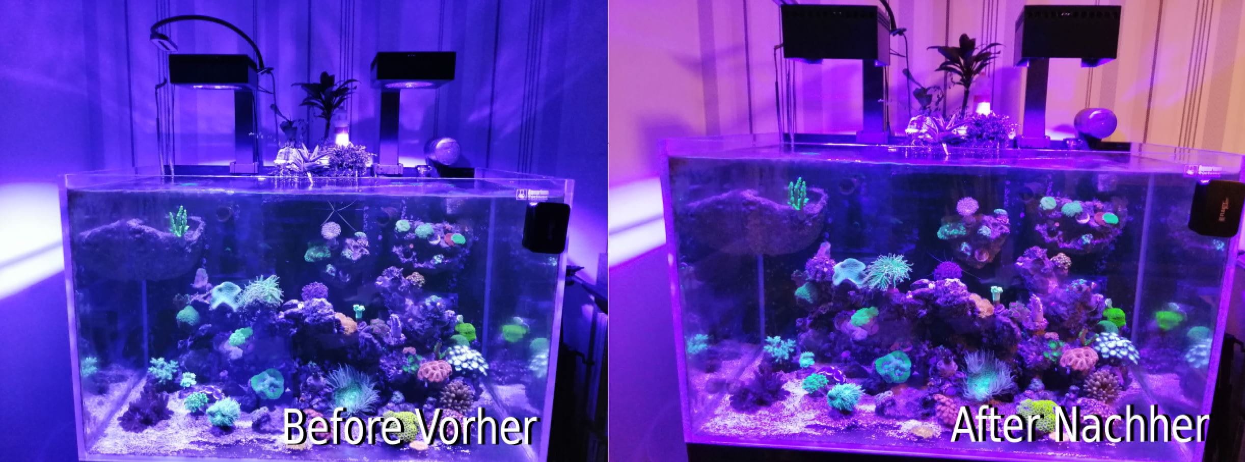 Fluval Sea Marine Seawater Nano & Plant Plants Freshwater