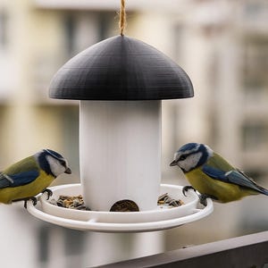 May include: A white bird feeder with a black top, suspended by a string, is shown with two small birds perched on the feeder. The birds have yellow, blue, and white feathers. The feeder is filled with seeds.