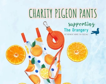 Pantalones de paloma, pañal, traje de vuelo, arnés para pájaros - The Orangery Charity Pigeon Pants