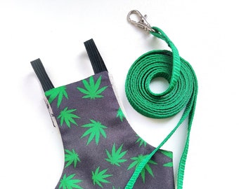 Pigeon Pants Flyper Diaper Flightsuit Bird Harness - Legalize It with a Matching Leash Offer