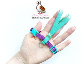 Harnais de vol pour pigeons avec rallonge de laisse à freinage souple - violet et vert pigeon