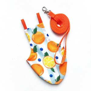 Pigeon Pants Bird Diaper Flightsuit Flyper Harness with Oranges Print and a Matching Leash