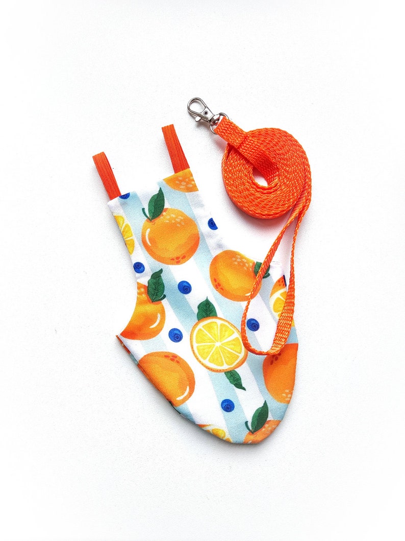 Pigeon Pants Bird Diaper Flightsuit Flyper Harness with Oranges Print and a Matching Leash