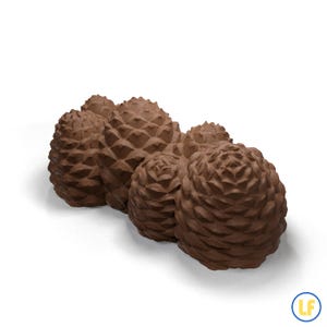 Peut inclure: Un groupe de six pommes de pin marron, chacune avec une surface texturée et détaillée. Les cônes sont disposés en ligne légèrement incurvée sur fond blanc, mettant en valeur leur forme et couleur naturelles.
