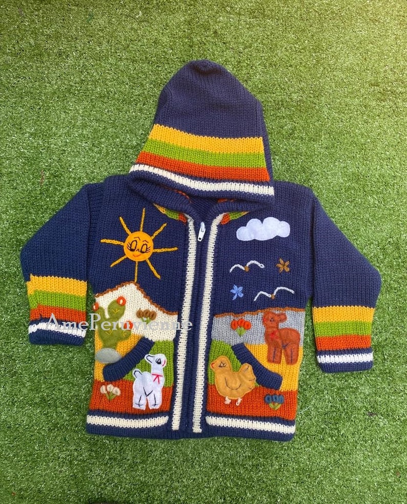 Blue Children peruvian hoodie sweater, Unique Peru Kids Wool Cardigan, Peruvian toddler wool jacket, Toddler embroidered sweater kids image 1