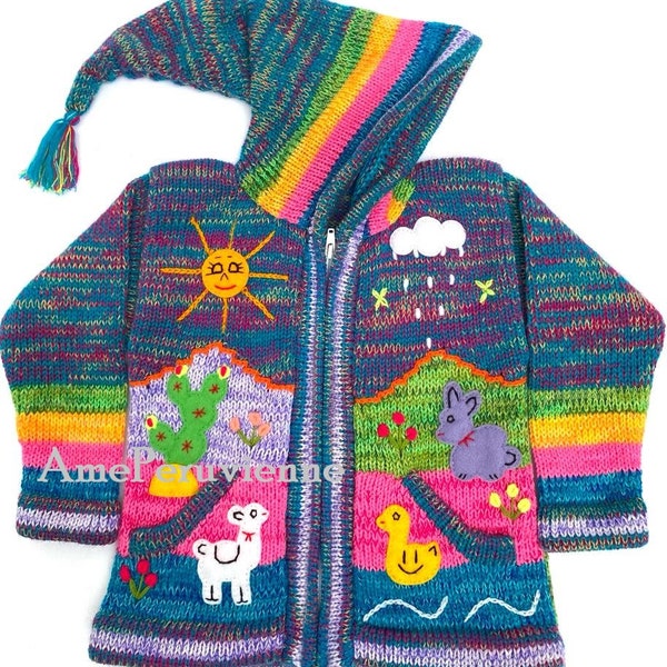 Pull à capuche péruvien pour enfants arc-en-ciel, cardigan en laine unique pour enfants du Pérou, veste en laine péruvienne pour tout-petits, pull brodé pour tout-petits pour enfants