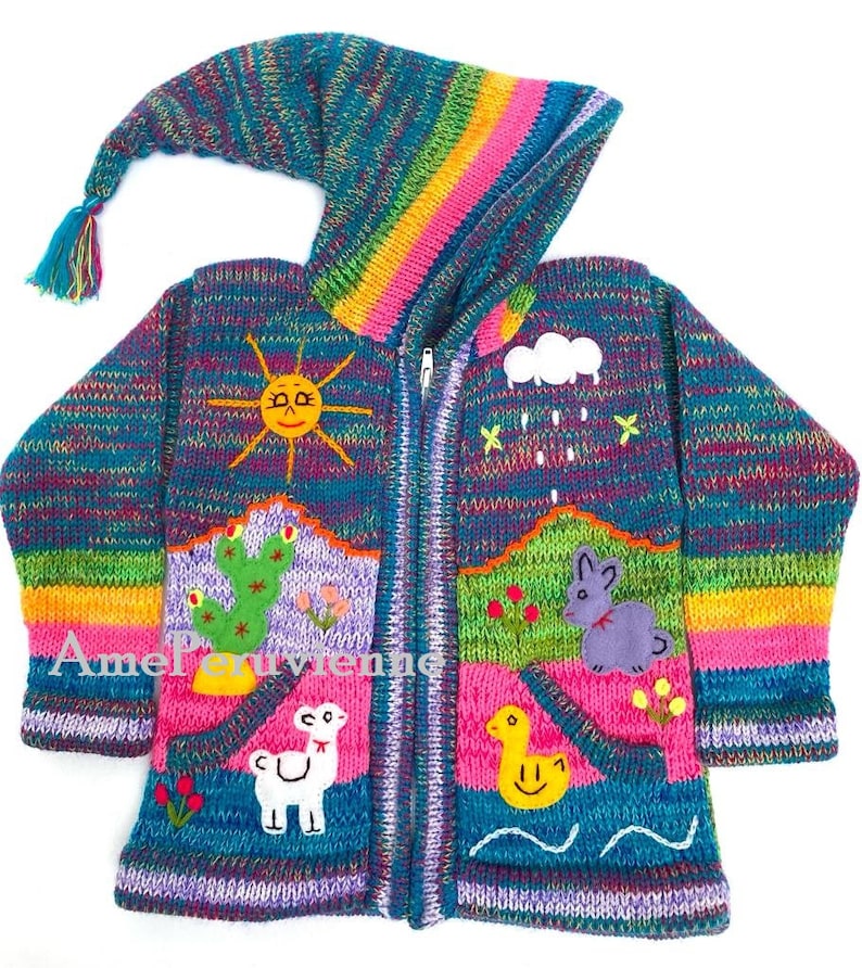 Pull à capuche péruvien pour enfants, cardigan en laine unique pour enfants du Pérou, veste en laine péruvienne pour tout-petits, pull brodé pour tout-petits pour enfants Rainbow