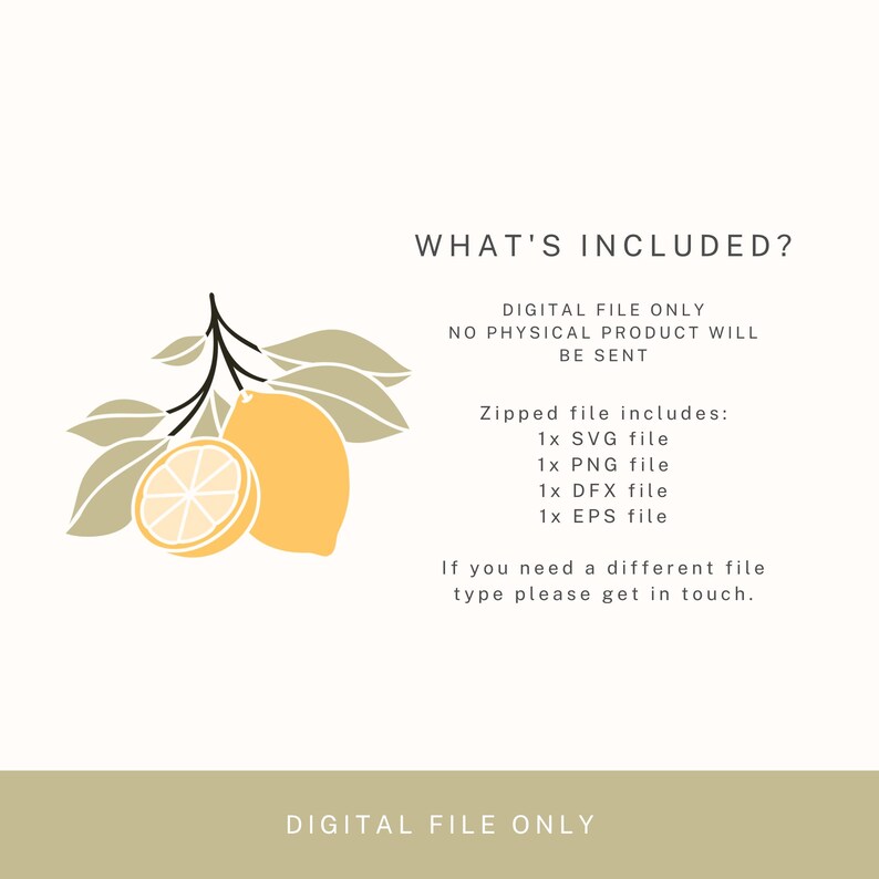 Lemon Dfx Lemon SVG | Citrus Clipart, Fruit PNG Cut File (digital Download) - Etsy