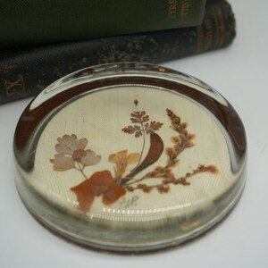 May include: A round glass paperweight with a pressed floral design. The design features dried flowers and leaves in shades of brown and beige on a white background.