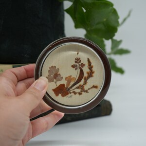 May include: A small, round, brown and white ceramic coaster with a pressed flower design. The coaster features a brown rim and a white center with a pressed flower design of brown and tan leaves and stems.