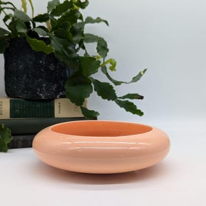 May include: A peach-coloured ceramic planter with a rounded, bowl-like shape. The planter is sitting on a stack of books.