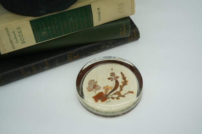 May include: A round glass paperweight with a beige background and a pressed flower design in shades of brown and beige.