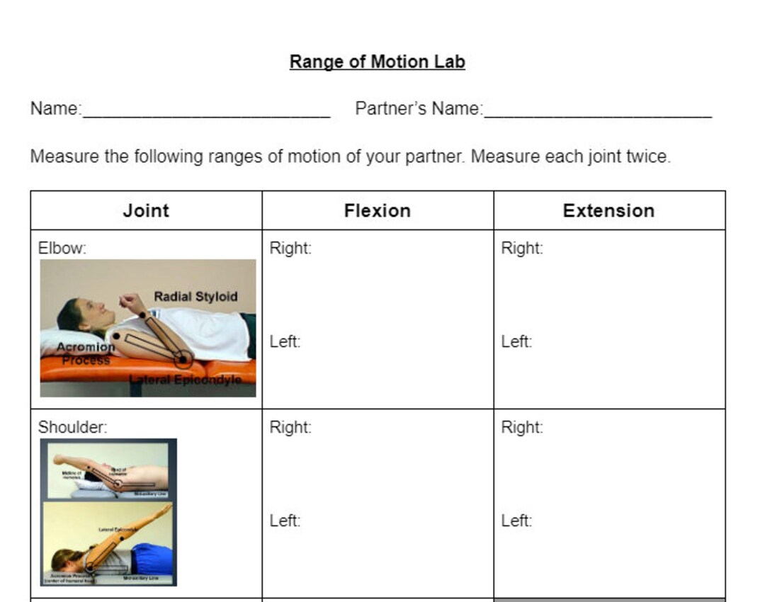 Range of Motion ROM Lab for Anatomy Healthcare Science or Etsy