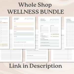 Chronic Fatigue Tracker, Energy Tracker, Energy Levels Graph, Printable PDF, Digital Download image 10