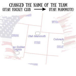 NHL Teams Map, Hockey Map, Hockey Gift For Him, Hockey Teams Map, NHL Hockey Fan Gift For Men, Bucket List, Christmas Gift, Hockey Team Gift image 8
