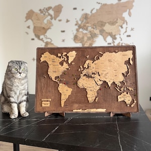 Push pin wereldkaart kunst aan de muur, verjaardagscadeau, houten wereldkaart, wanddecor, paneel kunst aan de muur, gepersonaliseerd cadeau voor echtgenoot, cadeau nieuw appartement