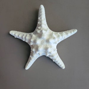 Faux 8&quot; Knobby Starfish w/hanger, paintable, Beach Style Decor