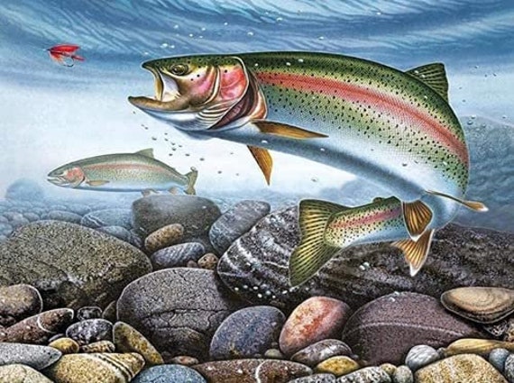 Completed Fishing Diamond Painting No Frame 