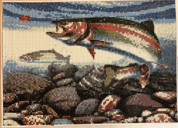 Completed Fishing Diamond Painting No Frame 