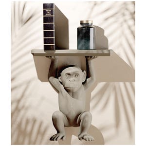 May include: A decorative shelf supported by a gray monkey figurine. The shelf holds a book titled "Train of Misery" and a dark glass jar with a gold lid. The background features shadows of palm leaves.
