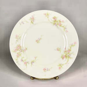 Antique Limoges Theodore Haviland Diner Plate, Pink Roses on White 7 inch Plate, Collectors Gift Idea.