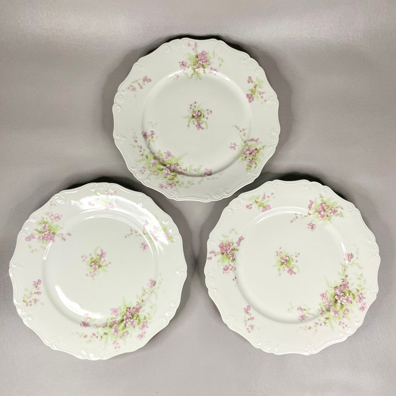 Antique Limoges Bassett Austria Dining Plate, Pink Flowers on White 9
