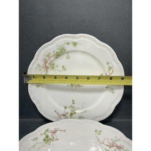 Lanternier Limoges France Hand Painted Floral Plates Set of 2 9 in ...