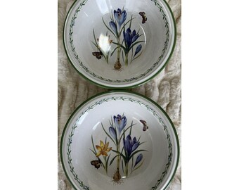 Studio Nova Garden Bloom (2) 8”x 2” Soup/salad Bowls Crocus & Butterflies Vtg