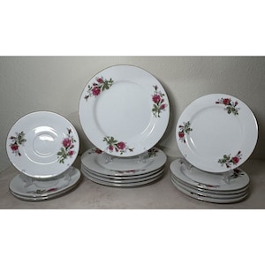 Sea Gull Fine China Made In China Moss Rose Pattern 13 Piece Set Vintage Pretty