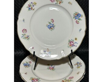 Vintage Hutschenreuther Leonard Paris Benares Dinner Plate, 10.25
