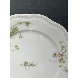 Lanternier Limoges France Hand Painted Floral Plates Set of 2 9 in ...