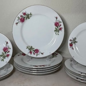 Sea gull Fine China made in china 13 piece set moss rose pattern vintage pretty !! There is a chip on the bottom of one of the plates.