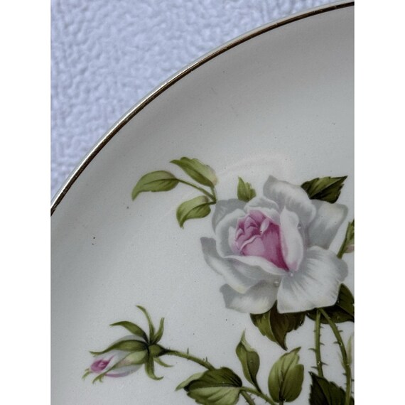 1960年代 米国ビンテージ ロイヤルテリー蝶々柄キャニスター２こセット Crooksville China Company Dinner Plates Delmar Marie Set of 4