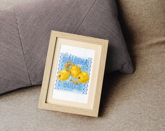 Digital nedladdning av kvittenfrukt i PNG | Galbena Gutuie-illustration | Botanisk t-shirtdesign | Moldaviskt folkkonsttryck | Sublimeringsfil