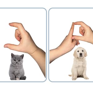 Alphabet anglais de A à Z, langue des signes britannique, photographies BSL avec indices d'objets Cartes Montessori Images à téléchargement immédiat Cartes pour besoins spéciaux
