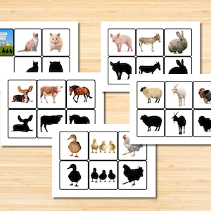 Tarjetas didácticas de animales domésticos con sombras para emparejar y descargar al instante Juego de memoria Montessori Desarrollo visual del cerebro Identificar Etapa clave 1 Guardería