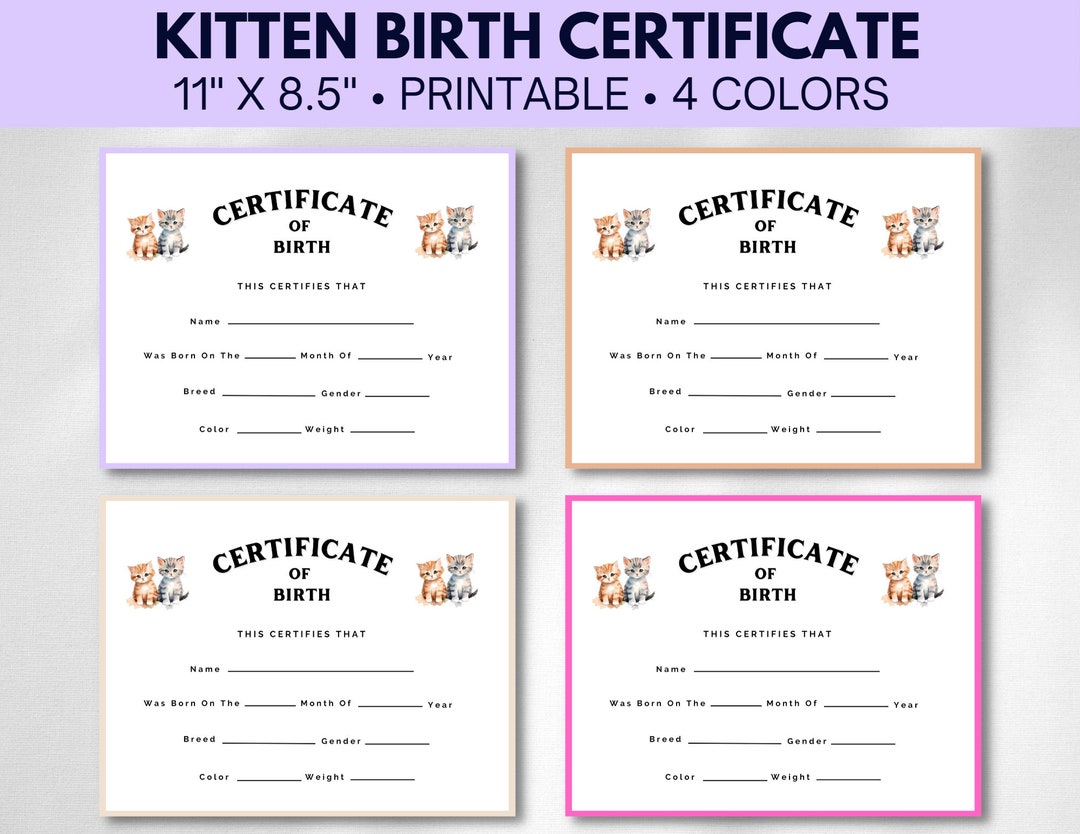Kitten Birth Certificate Printable Birth Certificate for a - Etsy