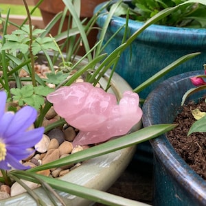 May include: A pink rose quartz crystal carved into the shape of a turtle, sitting on top of a green pot filled with small stones and a purple flower. The pot is next to a blue pot filled with soil and a green plant.