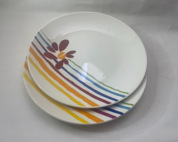 Vintage Pfaltzgraff Flourish Dinner Plates (Set of 2) | Colorful Floral & Striped Design | Vintage Dinnerware