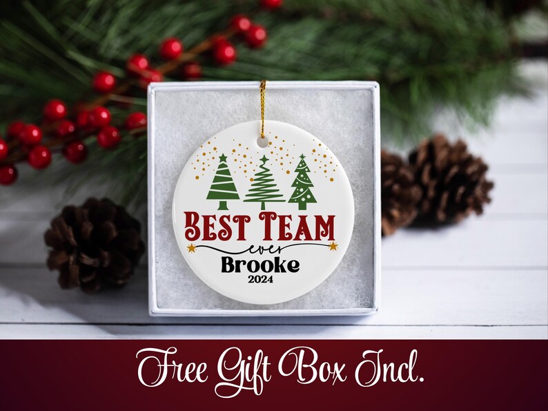 Coworker Christmas Ornament, Best Team Ever Christmas Gift for Men and