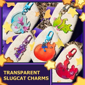 READ LAST IMAGE Rain World Transparent Slugcat Acrylic Charms