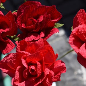 Crepe Paper Roses