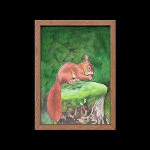 Red Squirrel A5 Print