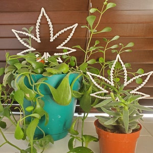 May include: Two potted plants with white metal leaf-shaped decorations. The plants are in teal and brown pots. The plants are green and have a leafy appearance.