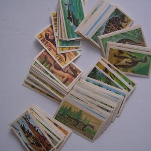 Brooke Bond, theekaarten, prehistorische dieren, complete set van 50, 1972